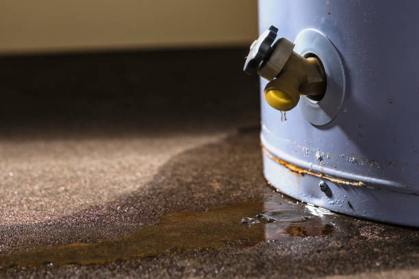 Best Residential water damage restoration  in Le Claire, IA