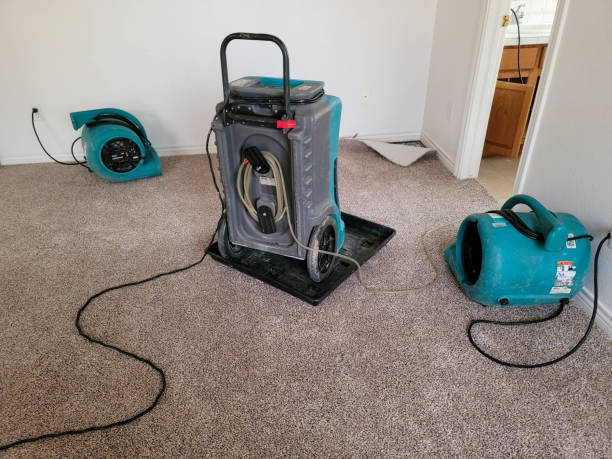 Best Basement water damage restoration  in Le Claire, IA