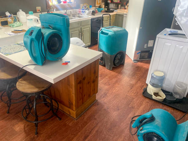 Best Emergency water damage restoration  in Le Claire, IA