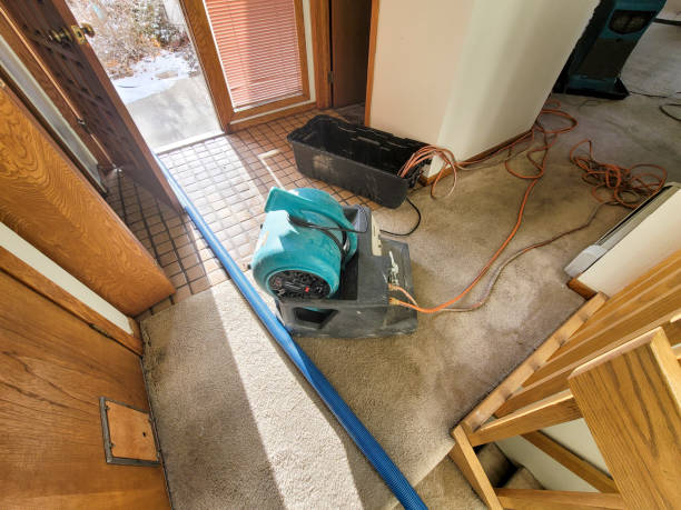 Best Local water damage restoration  in Le Claire, IA