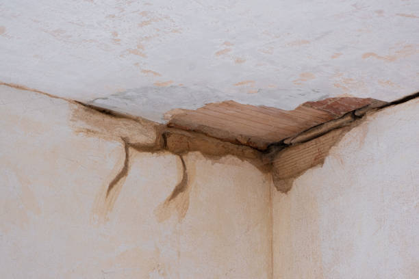 Best Professional water damage repair  in Le Claire, IA