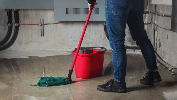 Best Ceiling water damage repair  in Le Claire, IA
