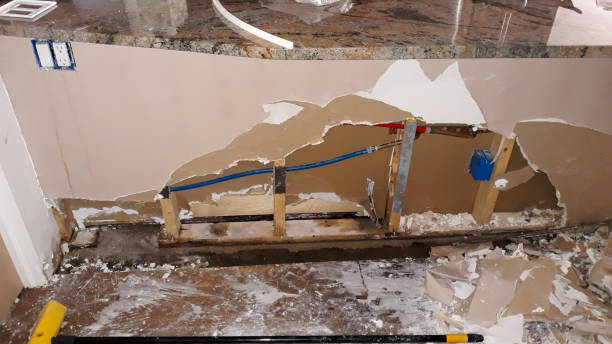 Best Water damage restoration experts  in Le Claire, IA
