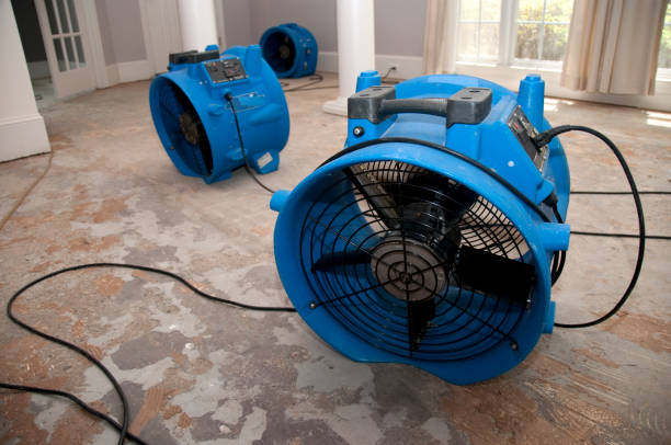 Best Emergency water damage restoration  in Le Claire, IA