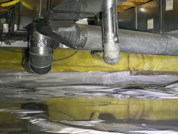 Best Water damage restoration services  in Le Claire, IA