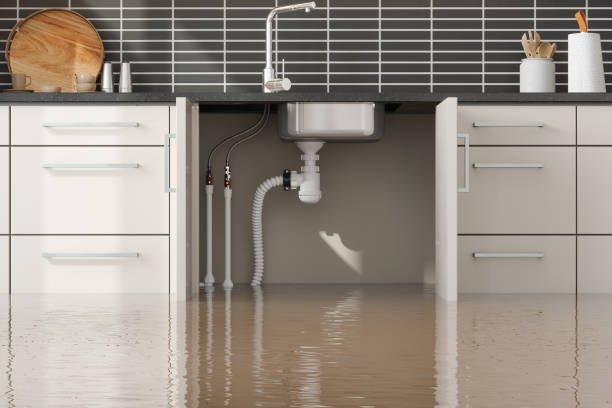 Best 24-hour water damage restoration  in Le Claire, IA